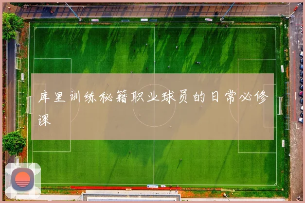 库里训练秘籍职业球员的日常必修课