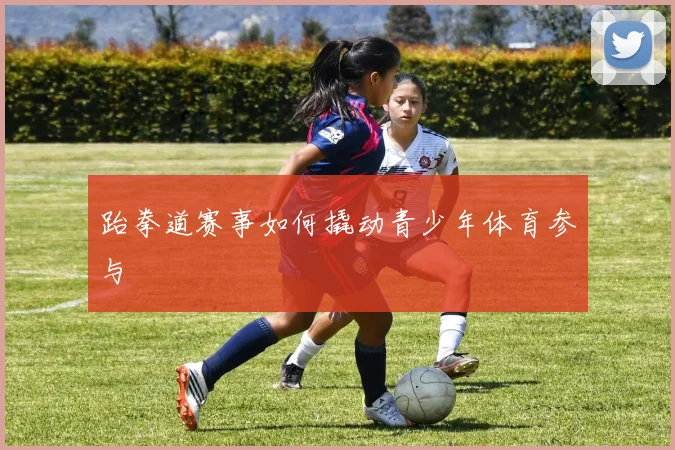 跆拳道赛事如何撬动青少年体育参与