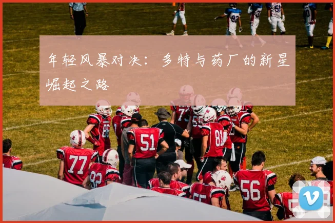 年轻风暴对决：多特与药厂的新星崛起之路