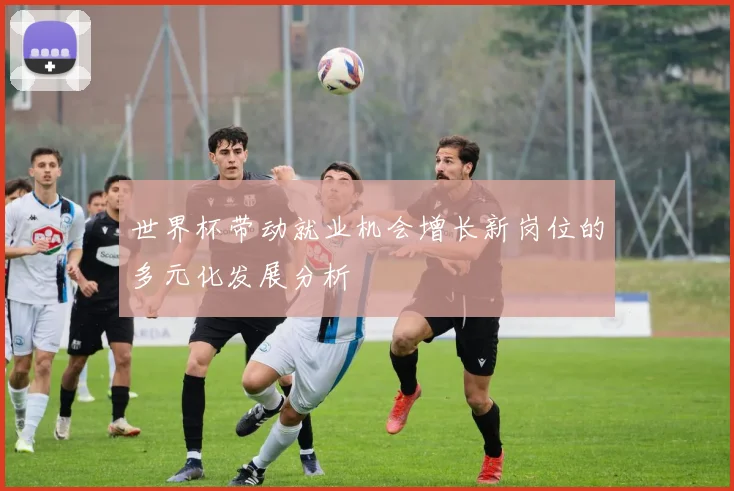 世界杯带动就业机会增长新岗位的多元化发展分析