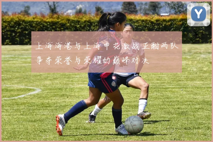上海海港与上海申花激战正酣两队争夺荣誉与荣耀的巅峰对决