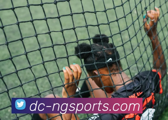 ng体育发展历程